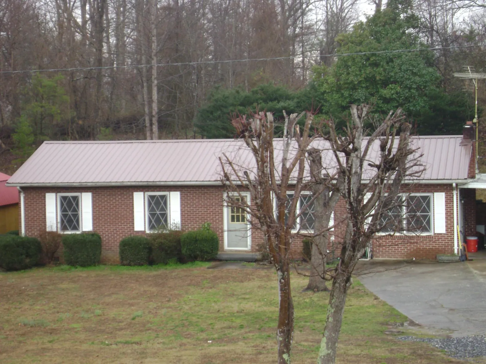 Mauve metal roof on a brick ranch home behind bare trees in Chilo